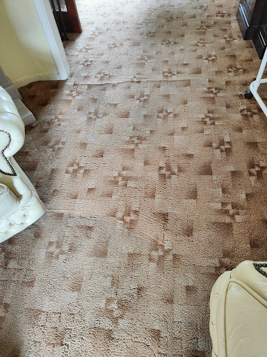 Carpet wash Leicester