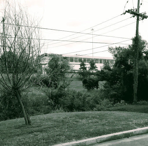 Shopping Mall «One Hundred Oaks Mall», reviews and photos, 719 Thompson Ln, Nashville, TN 37204, USA