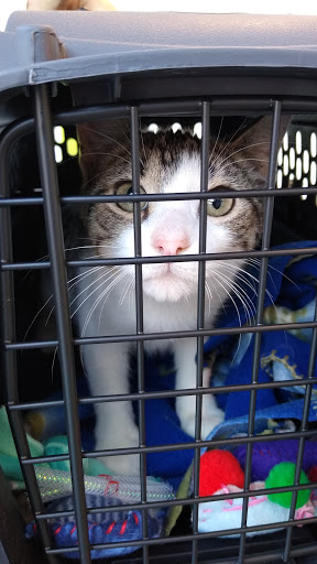 Self-Storage Facility «Aloma Self Storage», reviews and photos, 3625 Aloma Ave, Oviedo, FL 32765, USA