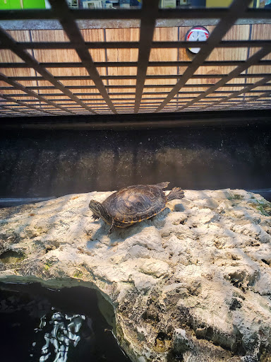 Pet Supply Store «Petco Animal Supplies», reviews and photos, 7303 Pinnacle Pkwy, Covington, LA 70433, USA