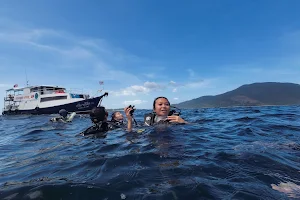 Ocean Pro Diving image