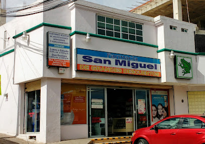 Farmacia San Miguel, , Fraccionamiento Gonzalo García García