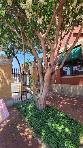 Museum «Dr Pepper Museum & Free Enterprise Institute», reviews and photos, 300 S 5th St, Waco, TX 76701, USA