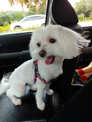 4400 N Hwy 19A, Mt Dora, FL 32757, USA