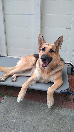 Pet Store «Pet Pals Discount Pet Foods & Supplies», reviews and photos, 3660 Soquel Dr, Soquel, CA 95073, USA