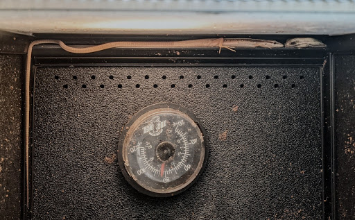 Pet Supply Store «PetSmart», reviews and photos, 132 NJ-31, Flemington, NJ 08822, USA