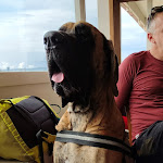 Photo n°4 de l'avis de Roberto.a fait le 10/10/2022 à 07:37 sur le  Carbonifera - Beach Bar & Restaurant à Piombino