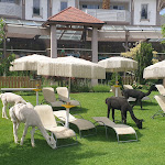 Photo n°10 de l'avis de Bernd. fait le 27/05/2022 à 18:44 sur le  GARTENHOTEL Moser à Eppan an der Weinstraße