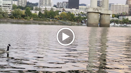 Tourist Attraction «USS Blueback Submarine», reviews and photos, 1945 SE Water Ave, Portland, OR 97214, USA