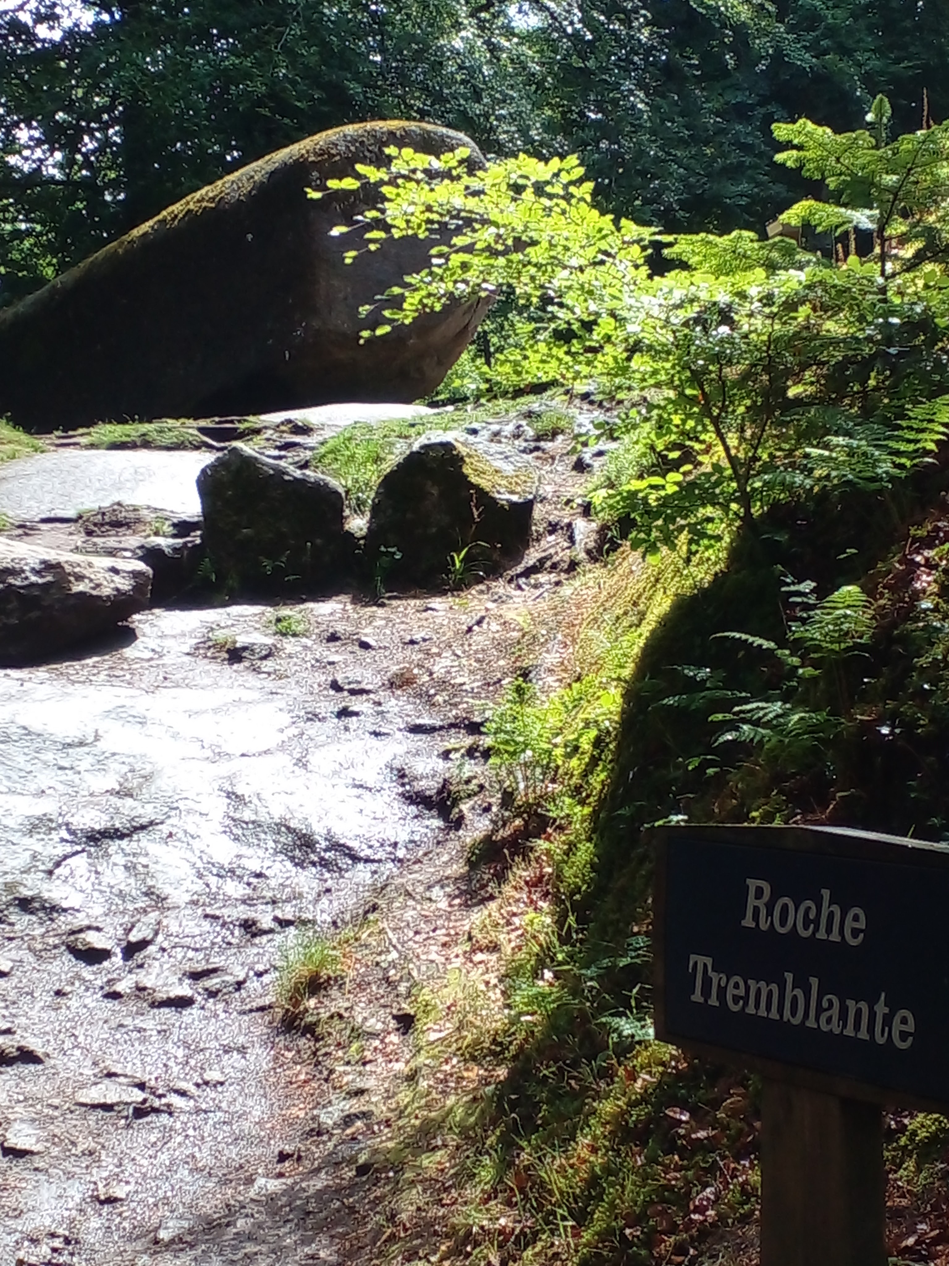 Photo n° 1 de l'avis de R. fait le 25/06/2022 à 17:30