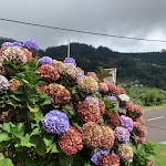 Photo n°4 de l'avis de Ivana.e fait le 25/09/2023 à 18:34 sur le  Snack-Bar Paris à Machico