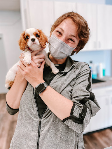 Express Vets Kennesaw image