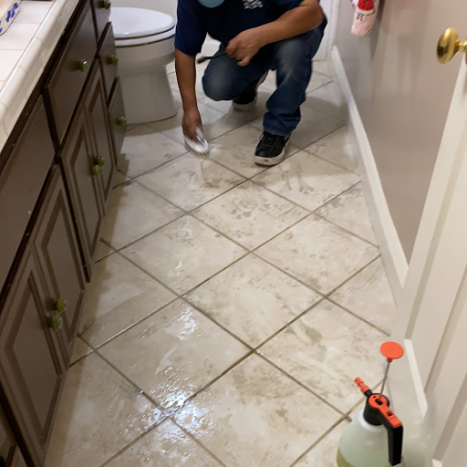 A1 Pro Cleaning - Carpet & Upholstery Cleaning image