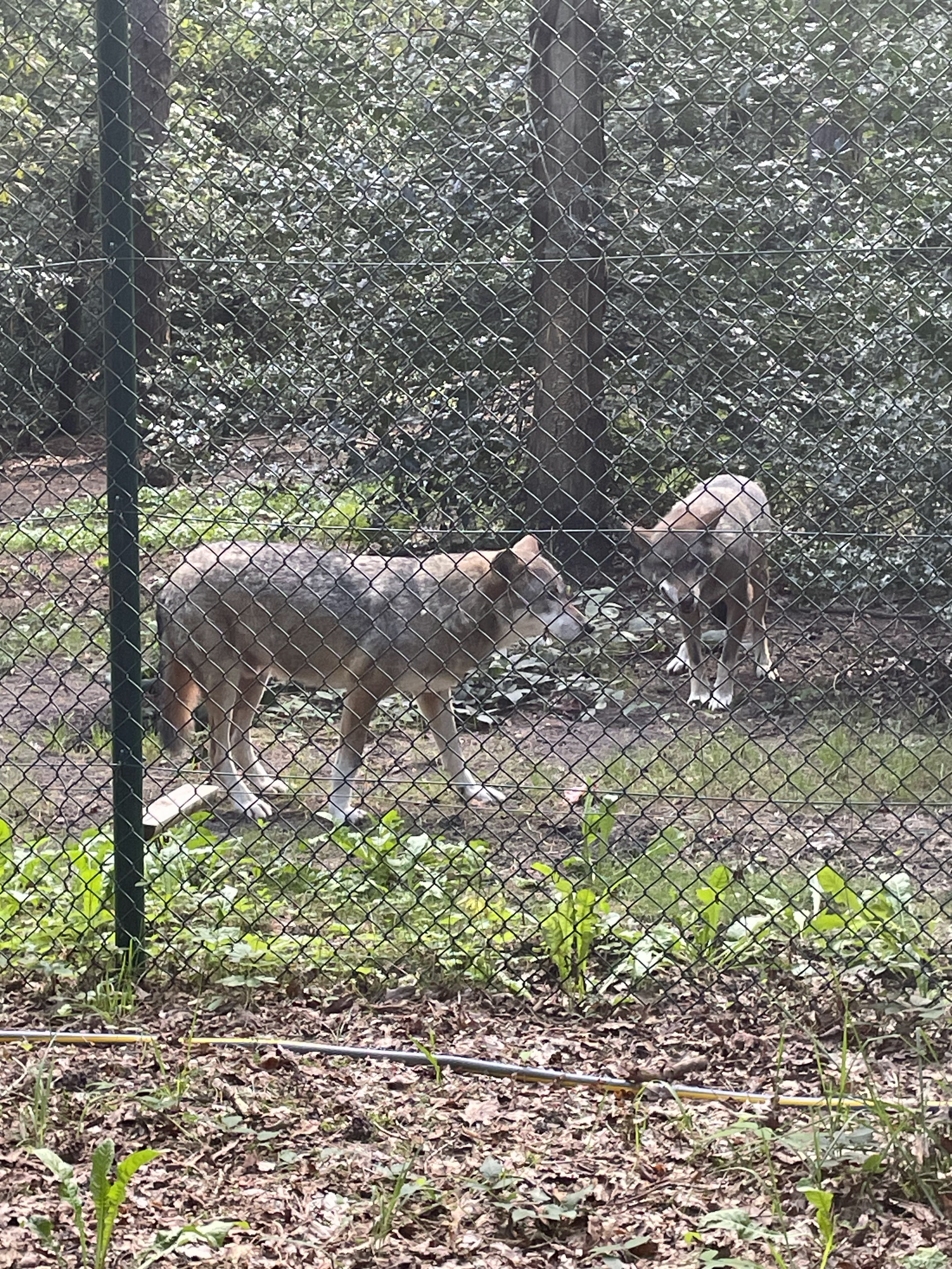 Photo n° 31 de l'avis de catherine.h fait le 22/08/2023 à 10:19