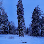 Photo n°12 de l'avis de A... fait le 27/01/2024 à 16:59 sur le  Schäferhof à Schmallenberg