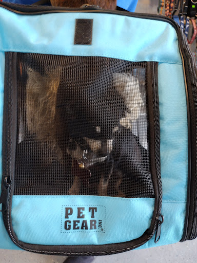 Pet Supply Store «The Dog House», reviews and photos, 4237 S Alameda St, Corpus Christi, TX 78412, USA