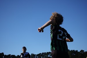Gellert Park - photo 85