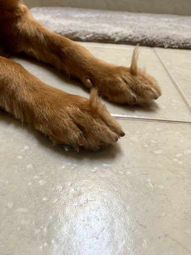 Pet Store «Pet Central», reviews and photos, 13004 SE Kent-Kangley Rd, Kent, WA 98030, USA