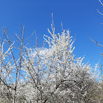 Photo n°5 de l'avis de Anne.u fait le 04/04/2021 à 18:37 sur le  Landgasthof Heldenberg à Lauterstein