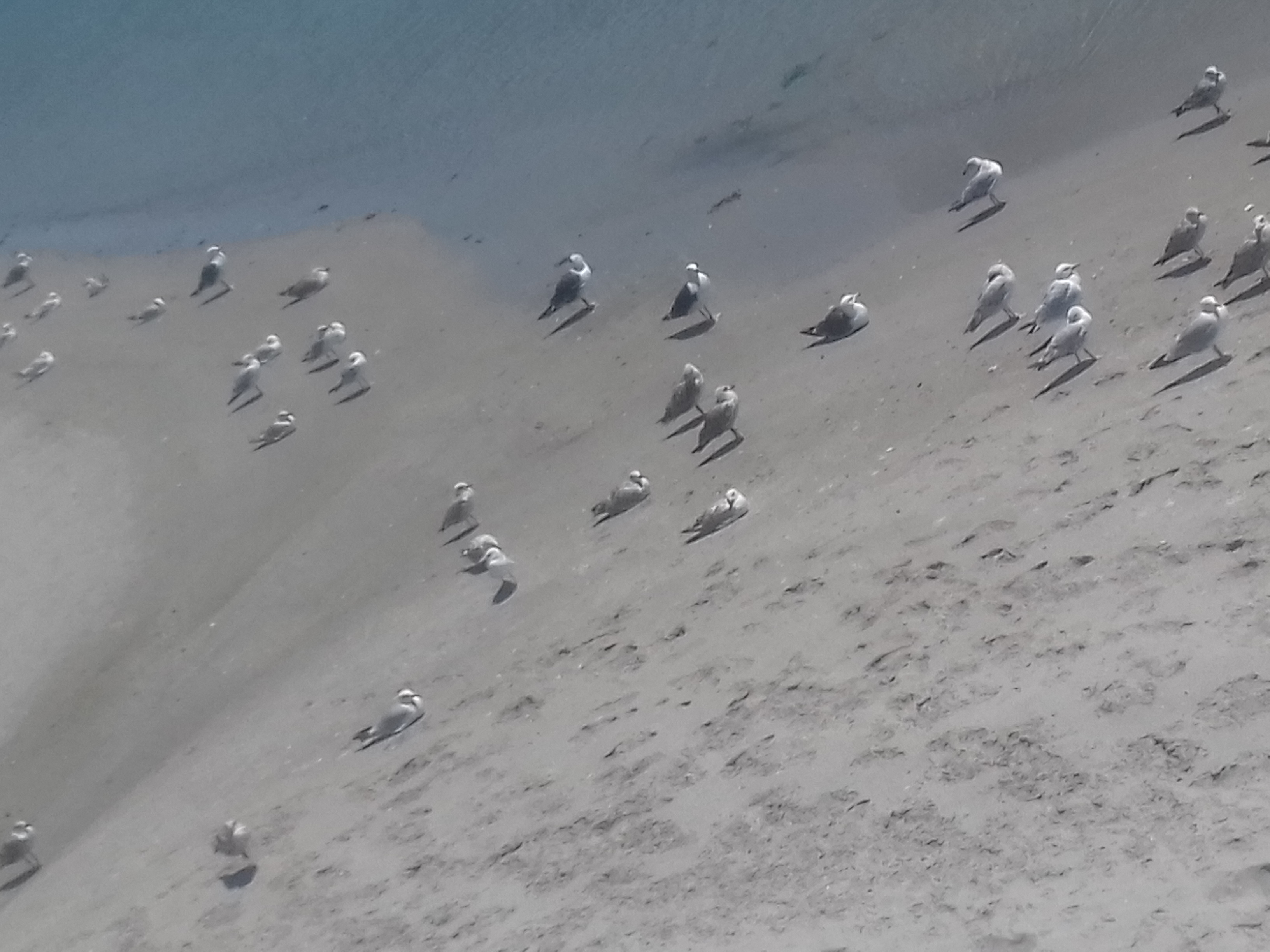 Photo n° 3 de l'avis de Giampaolo.o fait le 13/07/2019 à 17:14