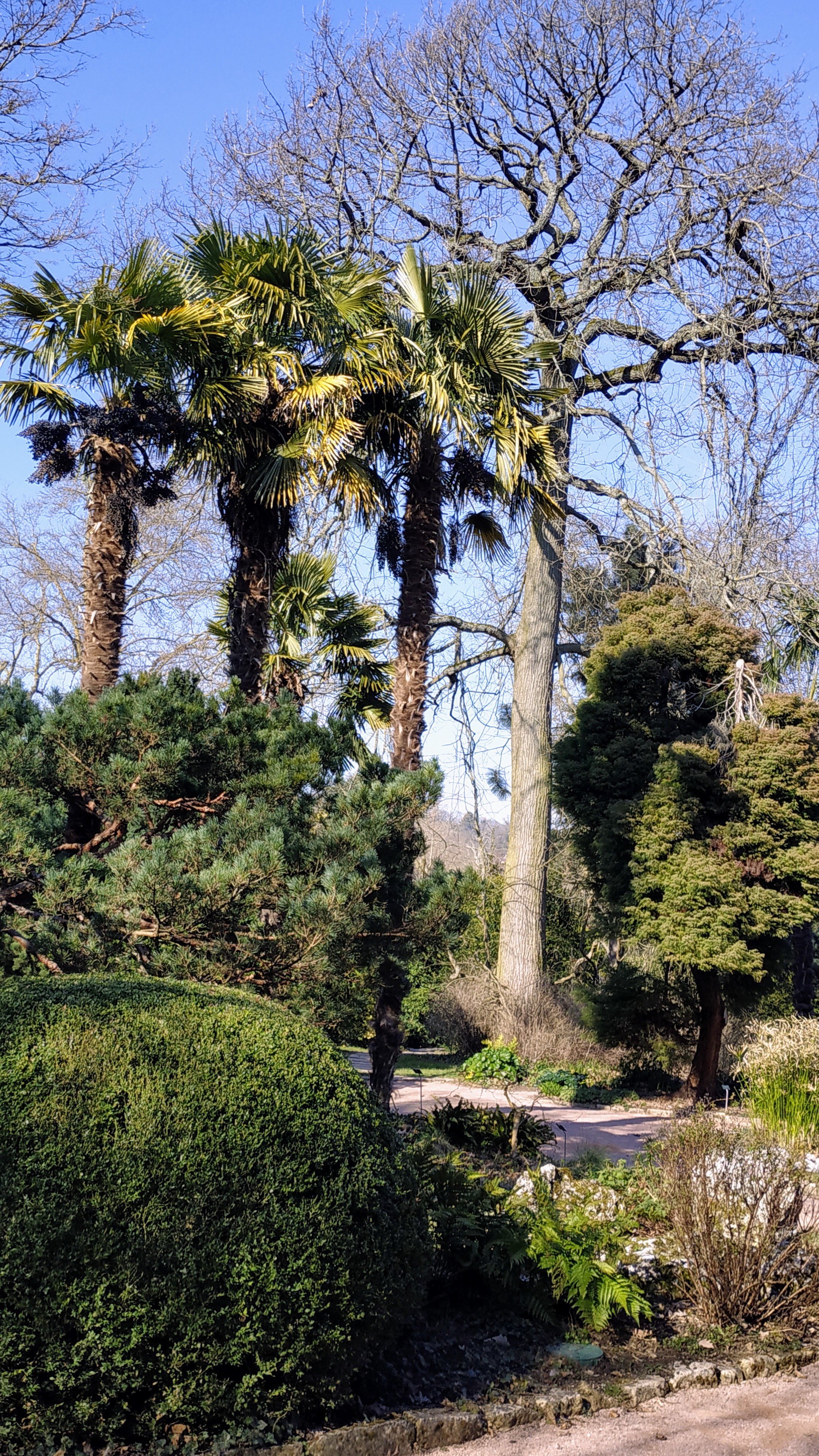 Photo n° 28 de l'avis de The.a fait le 08/03/2022 à 16:46