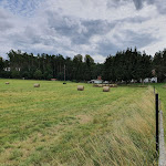 Photo n°1 de l'avis de Rolf.e fait le 12/08/2020 à 10:09 sur le  Haus Waldesruh à Fünfseen