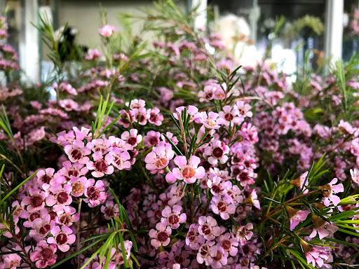 Florist «Flowers With Grace», reviews and photos, 9253 Magnolia Ave, Riverside, CA 92503, USA