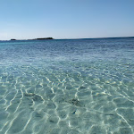 Photo n°20 de l'avis de Valeria.i fait le 02/10/2020 à 05:42 sur le  Hotel Lido Conchiglia Azzurra à Porto Cesareo