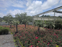 Stowe's Nursery - Photo 5 - Car repair in Gastonia, NC, Gastonia