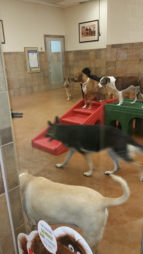 Pet Supply Store «PetSmart», reviews and photos, 131 Highlands Blvd Dr, Manchester, MO 63011, USA