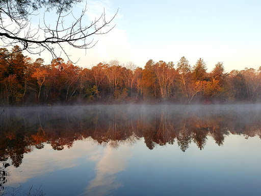 State Park «Parvin State Park», reviews and photos, 701 Almond Rd, Pittsgrove Township, NJ 08318, USA