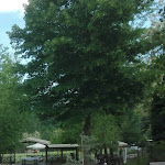 Photo n°4 de l'avis de Luffjorn. fait le 14/05/2017 à 15:45 sur le  Vecchio Moro à Monte San Martino