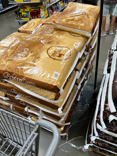 Department Store «Walmart Supercenter», reviews and photos, 1840 S Black Horse Pike, Williamstown, NJ 08094, USA