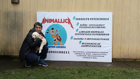 Veterinaria Animalika Temuco