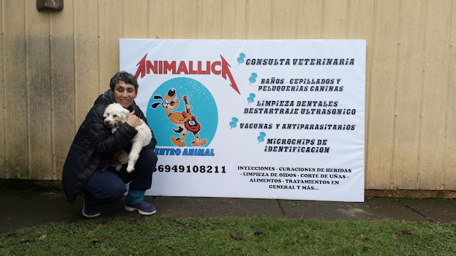 Veterinaria Animalika Temuco