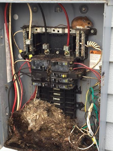 Electrician «Toner Electric Company», reviews and photos, 305 Oliphant Ln #10, Middletown, RI 02842, USA