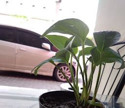 Garuda Citra Hotel photo