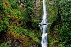 Multnomah Falls image