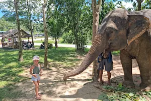 Green Elephant Sanctuary Park image