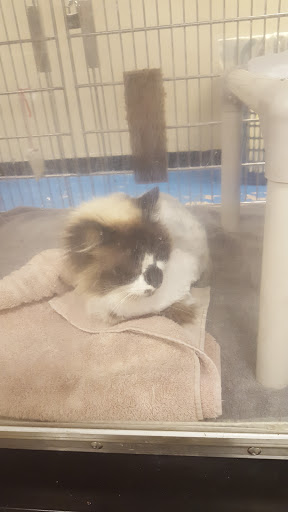 Pet Supply Store «PetSmart», reviews and photos, 1559 Merritt Blvd, Dundalk, MD 21222, USA