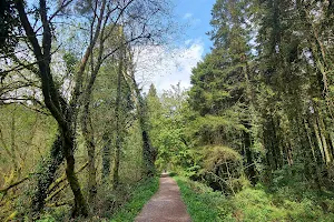 Warrenscourt Forest Recreational Area image