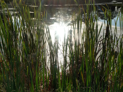 Lodge «The Lodge at Liberty Forge», reviews and photos, 3804 Lisburn Rd, Mechanicsburg, PA 17055, USA