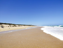 Golden Beach'in fotoğrafı imkanlar alanı
