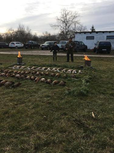 Szeged, Külterület 35, 6728