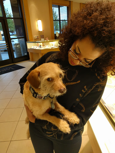 Jewelry Store «Jared The Galleria of Jewelry», reviews and photos, 19200 NW Cornell Rd, Hillsboro, OR 97124, USA