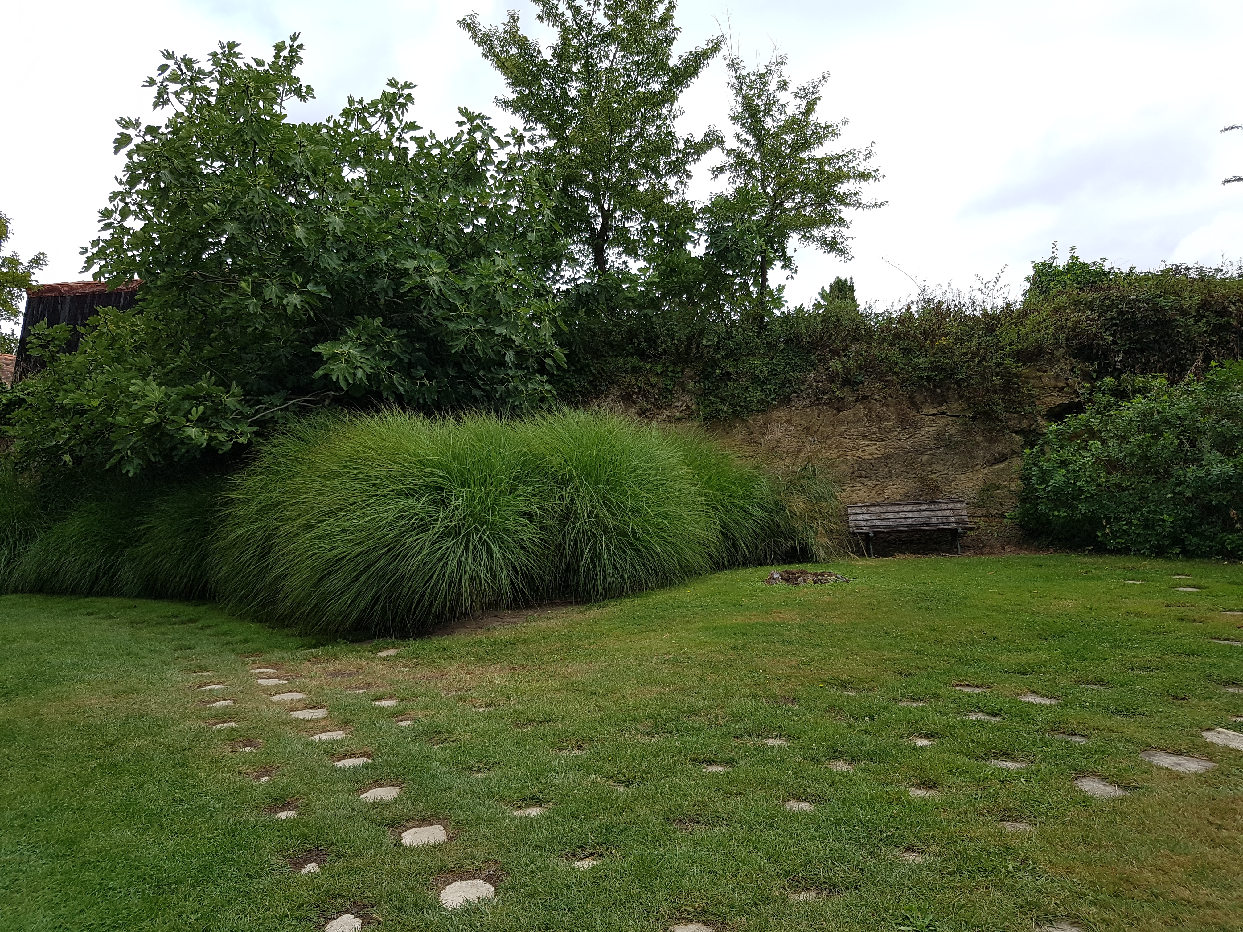 Photo n° 5 de l'avis de Hajer.a fait le 25/07/2020 à 12:52