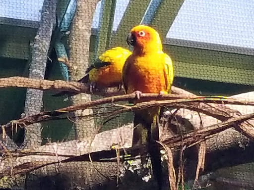 Zoo «Buttonwood Park Zoo», reviews and photos, 425 Hawthorn St, New Bedford, MA 02740, USA