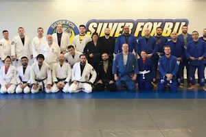 Silver Fox Brazilian Jiu Jitsu Academy - Coral Springs FL image