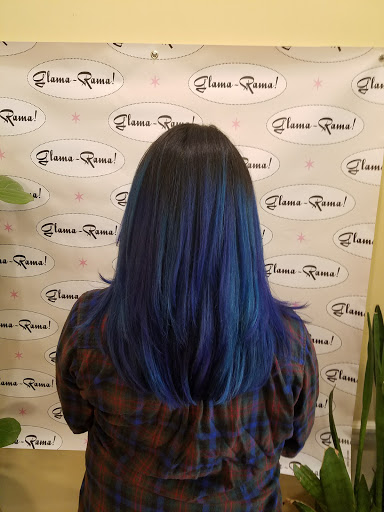Hair Salon «Glama-Rama Salon», reviews and photos, Glama-Rama Salon, 304 Valencia St, San Francisco, CA 94103, USA