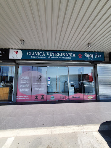 Clínica Veterinaria Puppy-Town - Veterinario